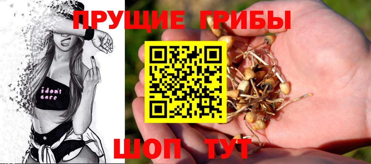 где купить наркотик  Галлюциногенные грибы Psilocybe  Псилоцибиновые грибы GOLDEN TEACHER  Вход с VPN  Геленджик 